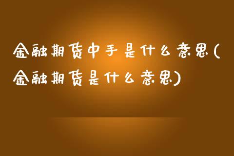 金融期货中手是什么意思(金融期货是什么意思)_https://gjqh.wpmee.com_期货新闻_第1张