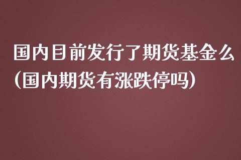 国内目前发行了期货基金么(国内期货有涨跌停吗)_https://gjqh.wpmee.com_期货新闻_第1张