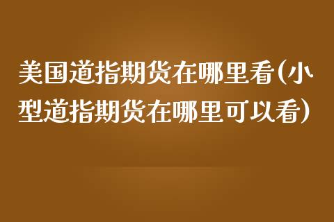 美国道指期货在哪里看(小型道指期货在哪里可以看)_https://gjqh.wpmee.com_期货百科_第1张