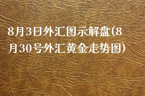 8月3日外汇图示解盘(8月30号外汇黄金走势图)_https://gjqh.wpmee.com_期货百科_第1张