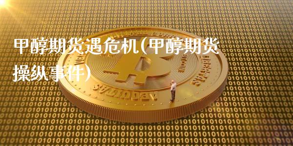 甲醇期货遇危机(甲醇期货操纵事件)_https://gjqh.wpmee.com_期货平台_第1张