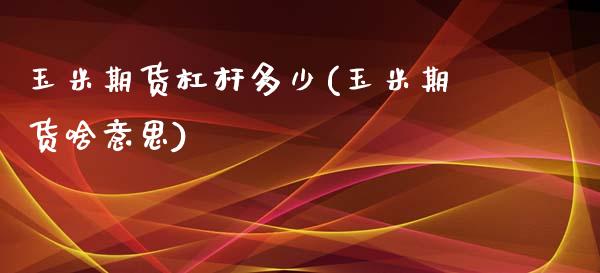 玉米期货杠杆多少(玉米期货啥意思)_https://gjqh.wpmee.com_国际期货_第1张