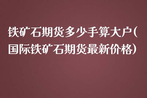 铁矿石期货多少手算大户(国际铁矿石期货最新价格)_https://gjqh.wpmee.com_期货开户_第1张