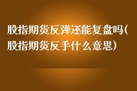 股指期货反弹还能复盘吗(股指期货反手什么意思)_https://gjqh.wpmee.com_期货平台_第1张