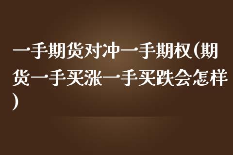 一手期货对冲一手期权(期货一手买涨一手买跌会怎样)_https://gjqh.wpmee.com_期货开户_第1张