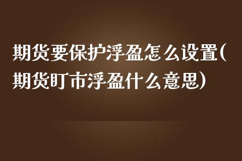 期货要保护浮盈怎么设置(期货盯市浮盈什么意思)_https://gjqh.wpmee.com_期货开户_第1张