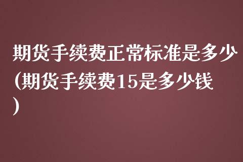 期货手续费正常标准是多少(期货手续费15是多少钱)_https://gjqh.wpmee.com_国际期货_第1张