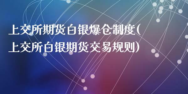 上交所期货白银爆仓制度(上交所白银期货交易规则)_https://gjqh.wpmee.com_期货新闻_第1张