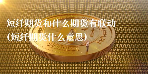 短纤期货和什么期货有联动(短纤期货什么意思)_https://gjqh.wpmee.com_期货百科_第1张