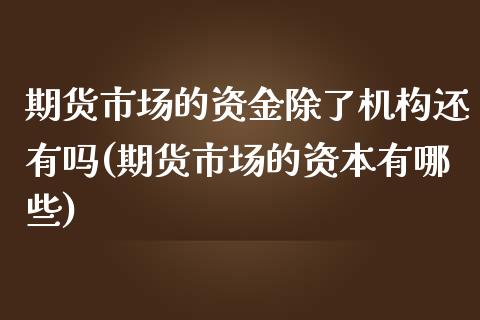 期货市场的资金除了机构还有吗(期货市场的资本有哪些)_https://gjqh.wpmee.com_期货新闻_第1张