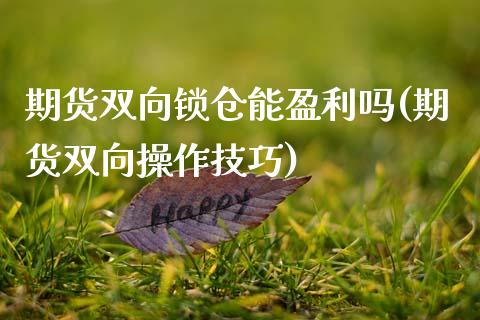 期货双向锁仓能盈利吗(期货双向操作技巧)_https://gjqh.wpmee.com_期货平台_第1张