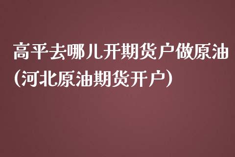 高平去哪儿开期货户做原油(河北原油期货开户)_https://gjqh.wpmee.com_期货百科_第1张