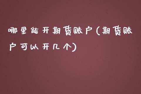 哪里能开期货账户(期货账户可以开几个)_https://gjqh.wpmee.com_期货新闻_第1张