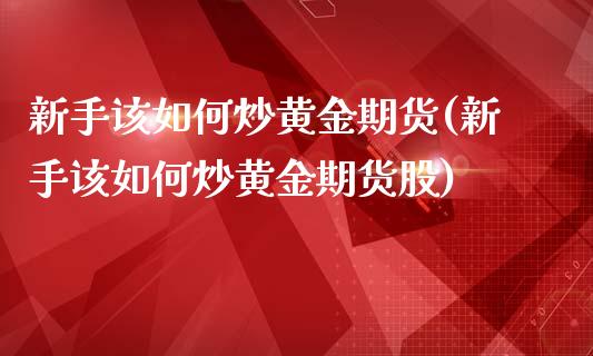 新手该如何炒黄金期货(新手该如何炒黄金期货股)_https://gjqh.wpmee.com_期货平台_第1张