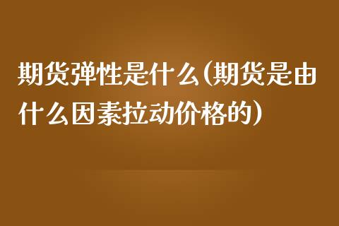 期货弹性是什么(期货是由什么因素拉动价格的)_https://gjqh.wpmee.com_期货开户_第1张