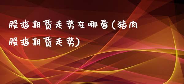 股指期货走势在哪看(猪肉股指期货走势)_https://gjqh.wpmee.com_期货百科_第1张