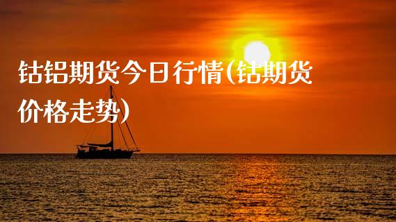 钴铝期货今日行情(钴期货价格走势)_https://gjqh.wpmee.com_期货平台_第1张