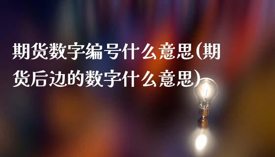 期货数字编号什么意思(期货后边的数字什么意思)_https://gjqh.wpmee.com_国际期货_第1张