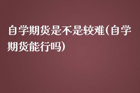 自学期货是不是较难(自学期货能行吗)_https://gjqh.wpmee.com_期货新闻_第1张