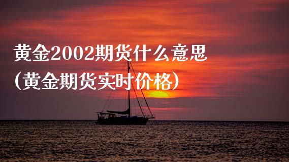 黄金2002期货什么意思(黄金期货实时价格)_https://gjqh.wpmee.com_期货平台_第1张