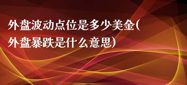 外盘波动点位是多少美金(外盘暴跌是什么意思)_https://gjqh.wpmee.com_期货开户_第1张