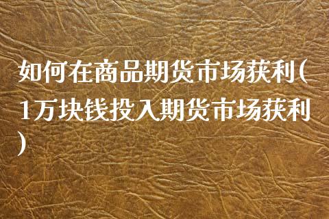 如何在商品期货市场获利(1万块钱投入期货市场获利)_https://gjqh.wpmee.com_国际期货_第1张