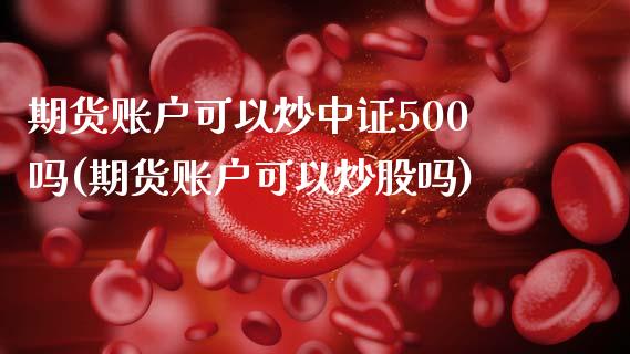 期货账户可以炒中证500吗(期货账户可以炒股吗)_https://gjqh.wpmee.com_期货开户_第1张