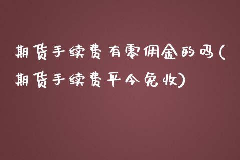 期货手续费有零佣金的吗(期货手续费平今免收)_https://gjqh.wpmee.com_国际期货_第1张