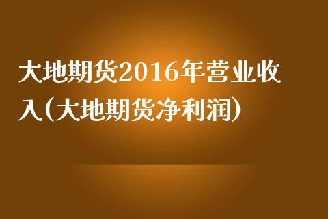 大地期货2016年营业收入(大地期货净利润)_https://gjqh.wpmee.com_期货新闻_第1张