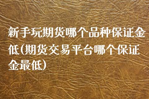 新手玩期货哪个品种保证金低(期货交易平台哪个保证金最低)_https://gjqh.wpmee.com_期货平台_第1张