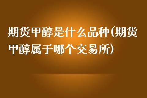 期货甲醇是什么品种(期货甲醇属于哪个交易所)_https://gjqh.wpmee.com_期货新闻_第1张