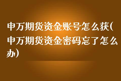 申万期货资金账号怎么获(申万期货资金密码忘了怎么办)_https://gjqh.wpmee.com_期货开户_第1张