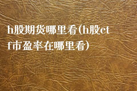 h股期货哪里看(h股etf市盈率在哪里看)_https://gjqh.wpmee.com_期货平台_第1张