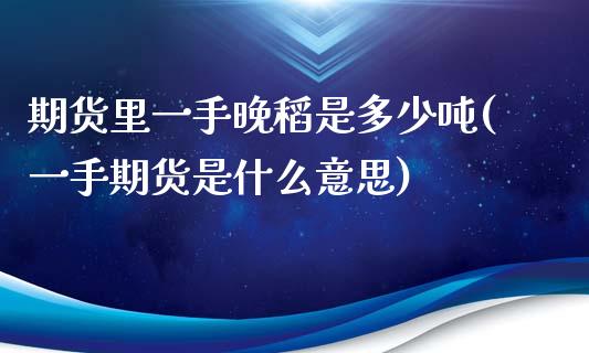 期货里一手晚稻是多少吨(一手期货是什么意思)_https://gjqh.wpmee.com_期货平台_第1张