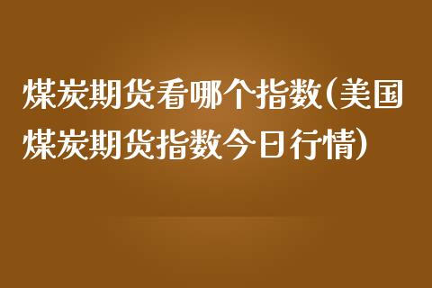 煤炭期货看哪个指数(美国煤炭期货指数今日行情)_https://gjqh.wpmee.com_期货平台_第1张