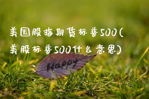 美国股指期货标普500(美股标普500什么意思)_https://gjqh.wpmee.com_期货百科_第1张