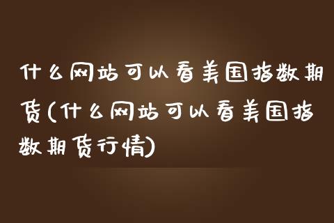 什么网站可以看美国指数期货(什么网站可以看美国指数期货行情)_https://gjqh.wpmee.com_期货新闻_第1张