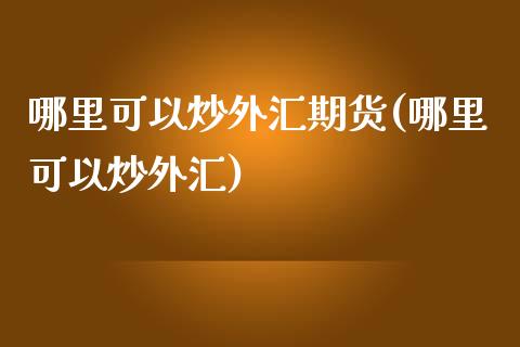 哪里可以炒外汇期货(哪里可以炒外汇)_https://gjqh.wpmee.com_期货百科_第1张