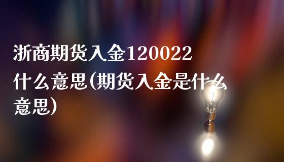 浙商期货入金120022什么意思(期货入金是什么意思)_https://gjqh.wpmee.com_期货百科_第1张