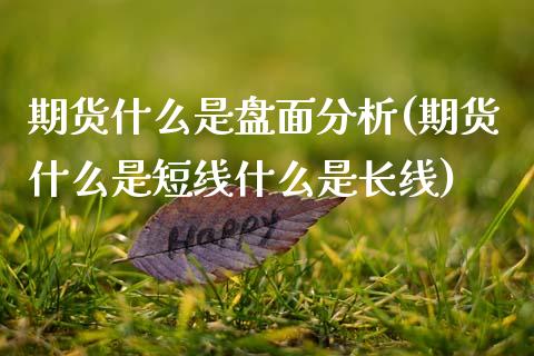 期货什么是盘面分析(期货什么是短线什么是长线)_https://gjqh.wpmee.com_期货平台_第1张