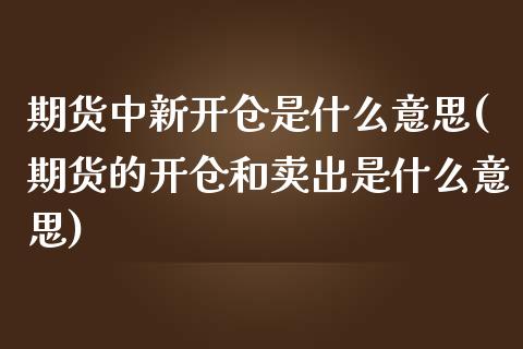 期货中新开仓是什么意思(期货的开仓和卖出是什么意思)_https://gjqh.wpmee.com_期货新闻_第1张