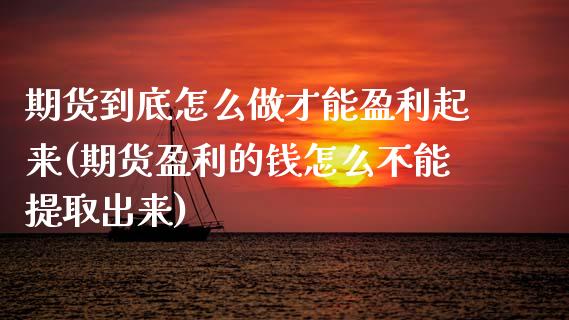 期货到底怎么做才能盈利起来(期货盈利的钱怎么不能提取出来)_https://gjqh.wpmee.com_期货平台_第1张