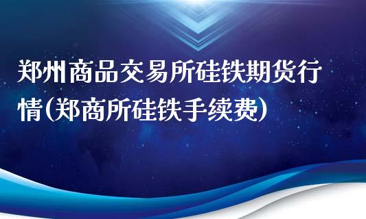 郑州商品交易所硅铁期货行情(郑商所硅铁手续费)_https://gjqh.wpmee.com_国际期货_第1张