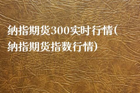 纳指期货300实时行情(纳指期货指数行情)_https://gjqh.wpmee.com_期货新闻_第1张