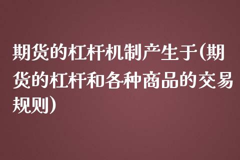 期货的杠杆机制产生于(期货的杠杆和各种商品的交易规则)_https://gjqh.wpmee.com_期货新闻_第1张