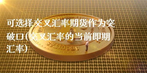 可选择交叉汇率期货作为突破口(交叉汇率的当前即期汇率)_https://gjqh.wpmee.com_期货百科_第1张