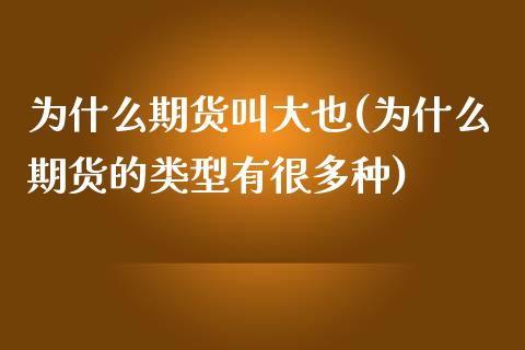 为什么期货叫大也(为什么期货的类型有很多种)_https://gjqh.wpmee.com_期货开户_第1张