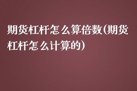 期货杠杆怎么算倍数(期货杠杆怎么计算的)_https://gjqh.wpmee.com_期货平台_第1张