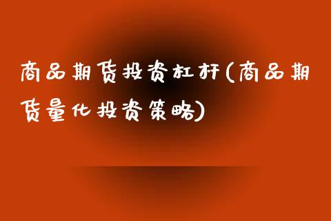 商品期货投资杠杆(商品期货量化投资策略)_https://gjqh.wpmee.com_期货平台_第1张