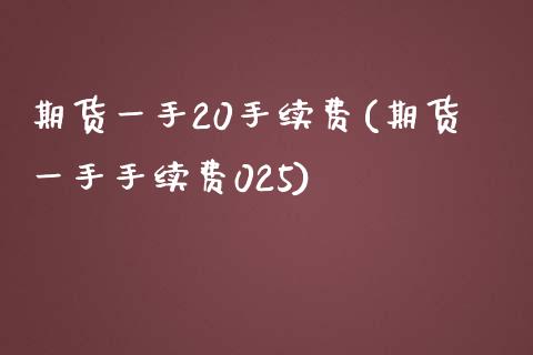 期货一手20手续费(期货一手手续费025)_https://gjqh.wpmee.com_国际期货_第1张